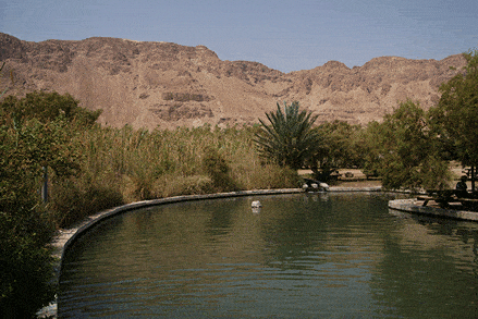 נוף מראש צוקים