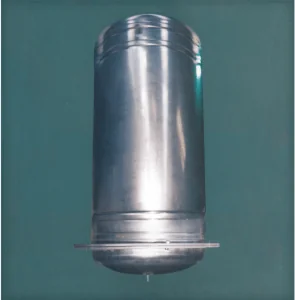 סנדלי שורש בקפסולת הזמן הישראלית