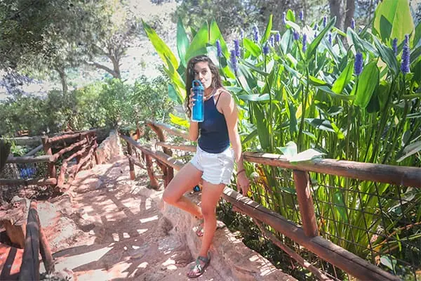 בקבוקי המים של שורש